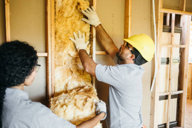 Best Local Insulation Services  in Mount Vernon, TX