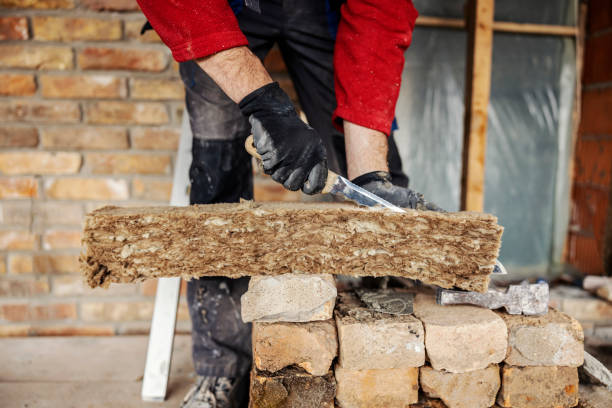 Best Home Insulation Services  in Mount Vernon, TX