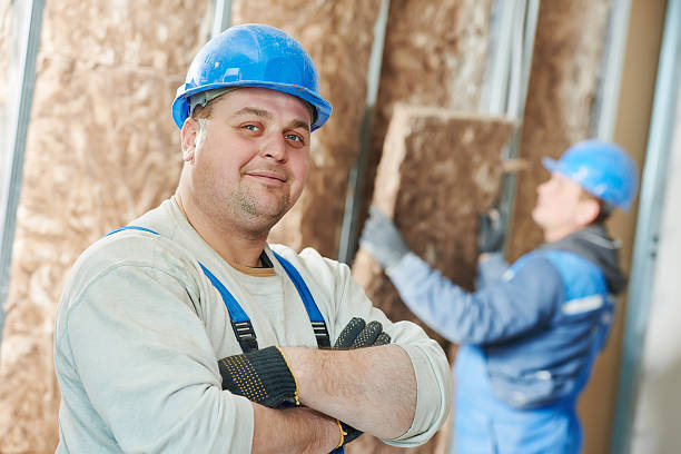 Best Insulation Inspection Services  in Mount Vernon, TX