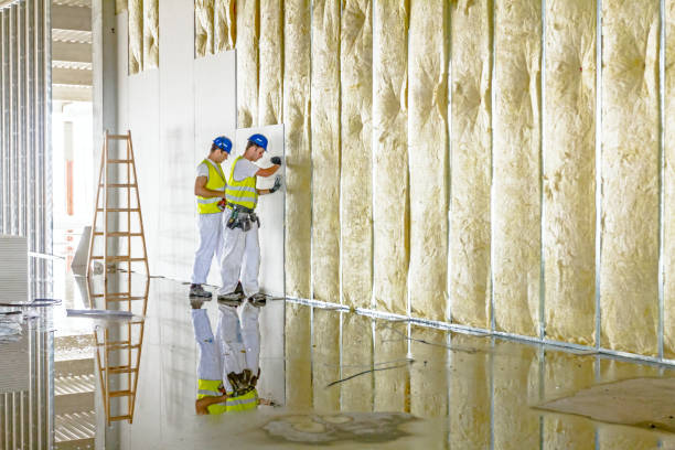 Best Insulation Repair Services  in Mount Vernon, TX